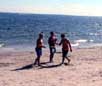 Beach Guide
